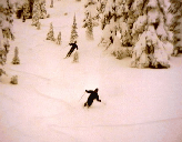 Cat skiing (71k)